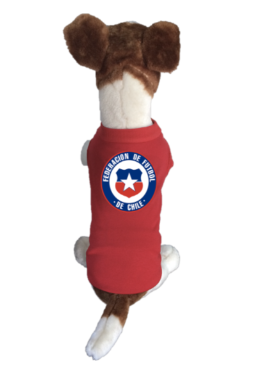 Chile Dog Soccer Jersey-World Cup Qatar 2022-Fifa – J&D Trading